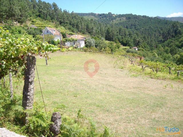 Terreno | 26083917711