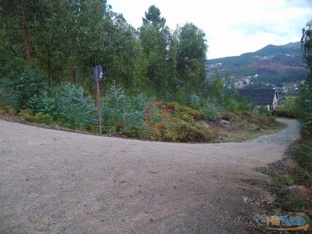 Terreno | 26083917712