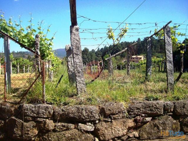 Terreno | 26083917725