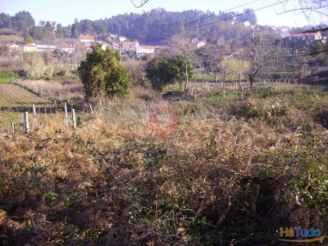 Terreno | 26083917723
