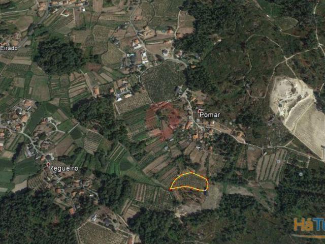 Terreno | 26083917750