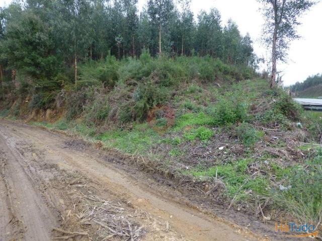Terreno | 26083917763