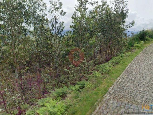 Terreno | 26083992198
