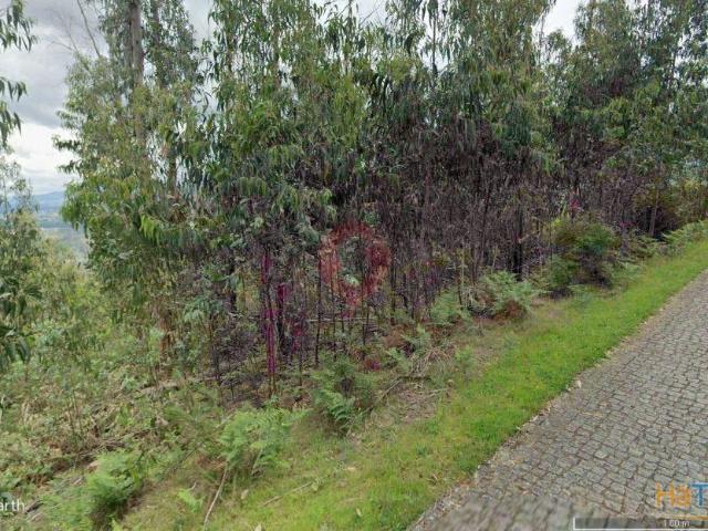 Terreno | 26083992201
