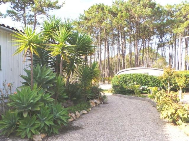 Terreno 2800m2 | Assafora