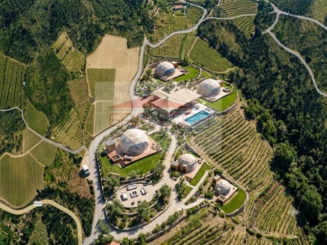 Terreno 20 000 m2 com casa de apoio no Alto Douro Vinhateiro em Tarouca