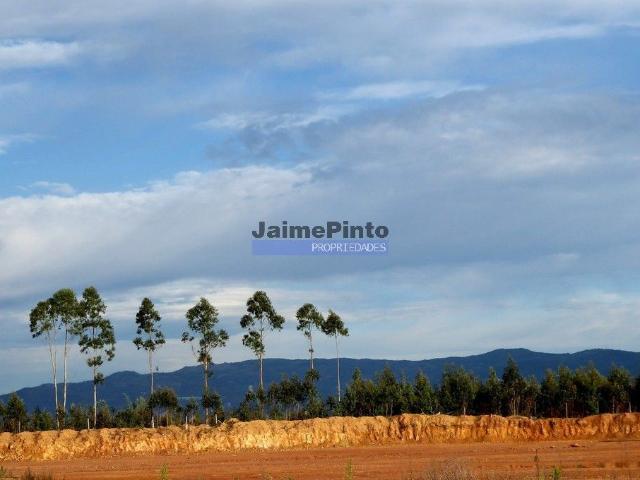 Terreno 20 000m2 para Indústria, Armazéns. Portugal, Aveiro, Albergaria