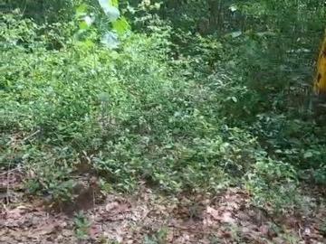 Terreno 2,4 hectáreas con titulo de propiedad Leona Vicario