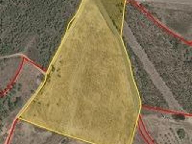 Terreno 2.8ha Maxiais Castelo Branco