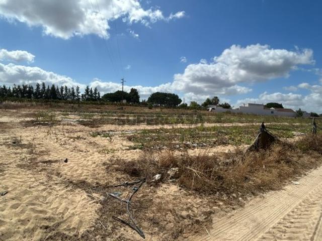 Terreno 2HA Aveiras de Cima