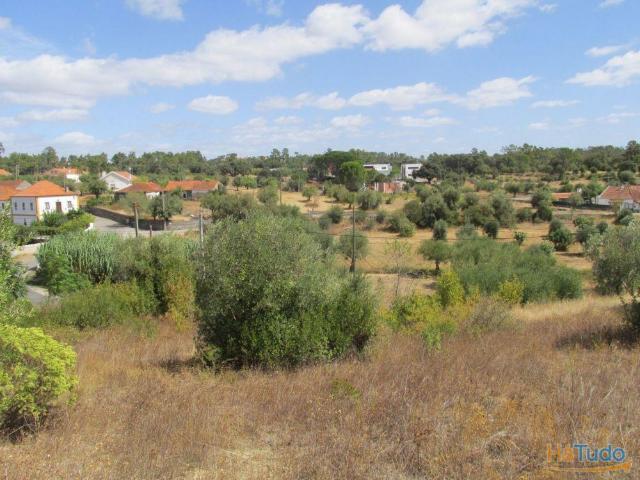 Terreno 3600 m2 Outeiro Pequeno Assentiz / TORRES NOVAS | 26083428151