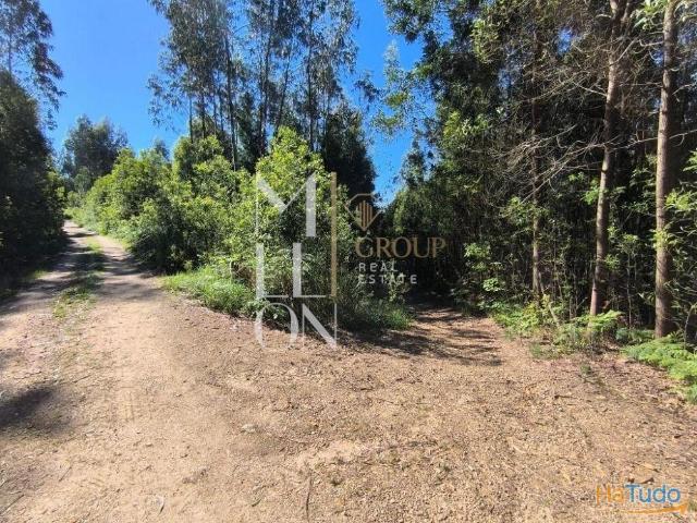 TERRENO | 3800 M2 | GRIJÓ | 26063782468