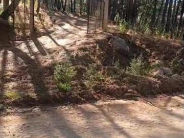 Terreno 30000 m² en venta, Pueblo Mazamitla