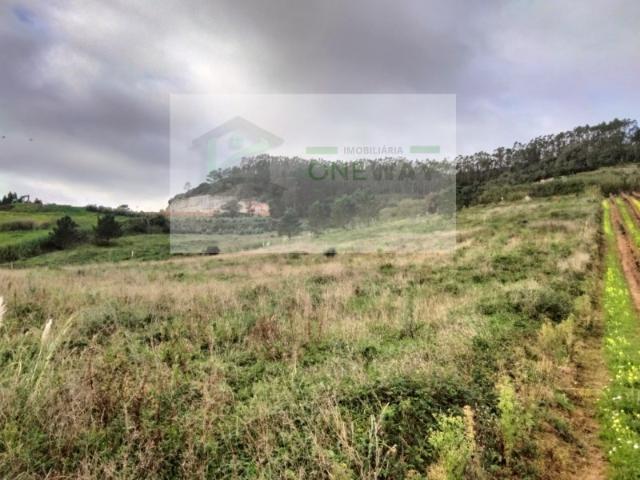 Terreno 30000m2 Freiria Torres Vedras