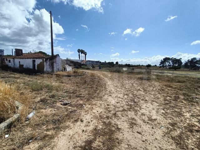 Terreno