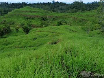 TERRENO 30 90 200 HECTAREAS UCAYALI
