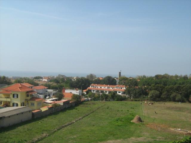 Terreno