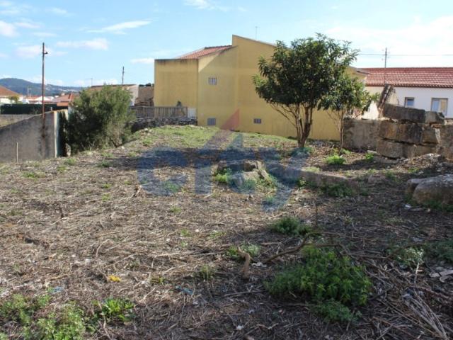 TERRENO 3.600 M2, MORELENA SINTRA