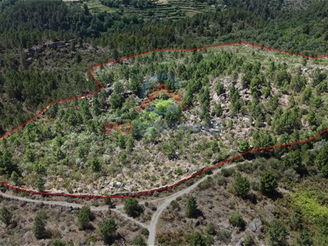 Terreno 3 hectares