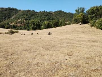 TERRENO 44 Ha Ideal para loteo Chépica