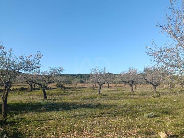Terreno 4739 m2