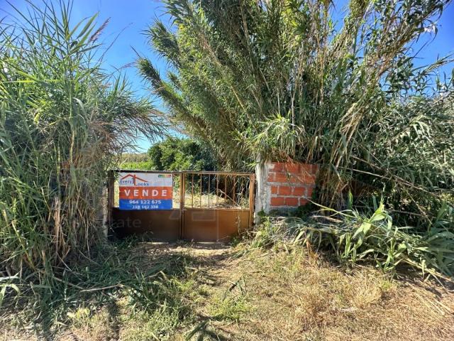 Terreno 4800 m2 Atouguia da Baleia