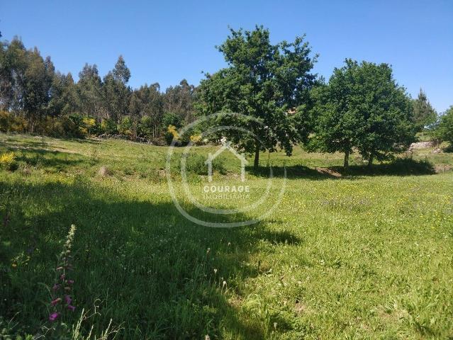 Terreno 40.000m2 ! Próximo da ligação da A3. Linhares P.Coura