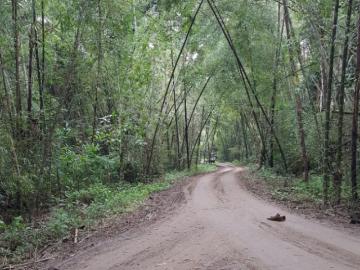 Terreno 4.500 hectáreas Santa Elena