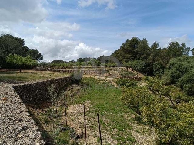 Terreno 55000.00 m2