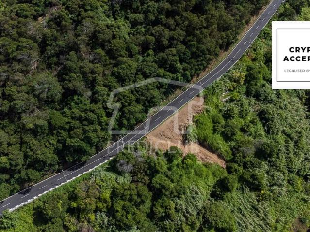 Terreno 5120 m2 Porto da Cruz