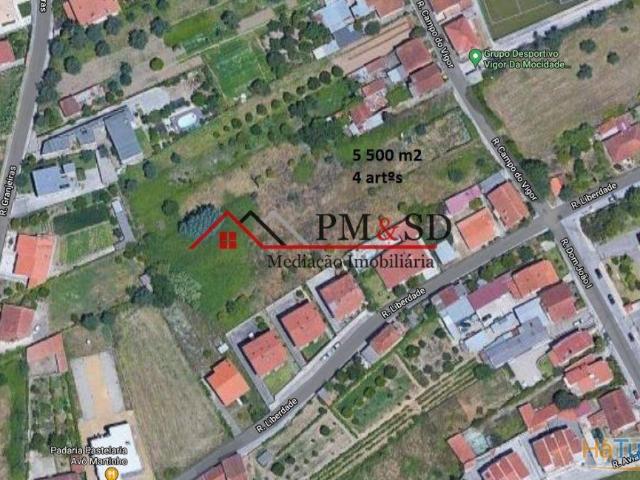 Terreno 5 500 m2 4 artºs Coimbra | 26083327076
