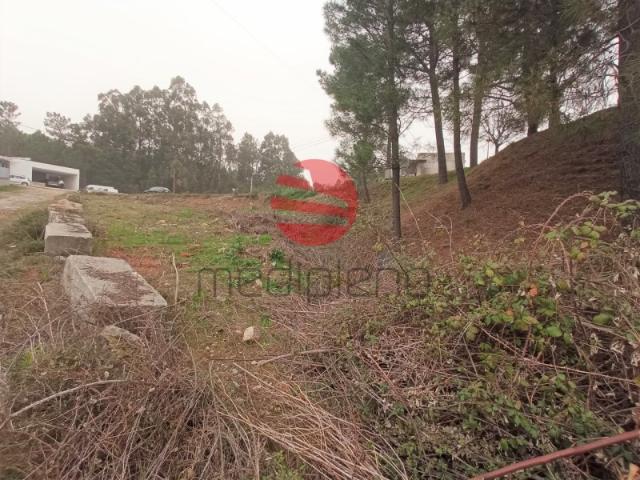 Terreno
