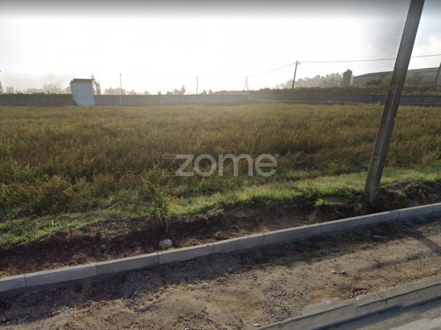 Terreno |