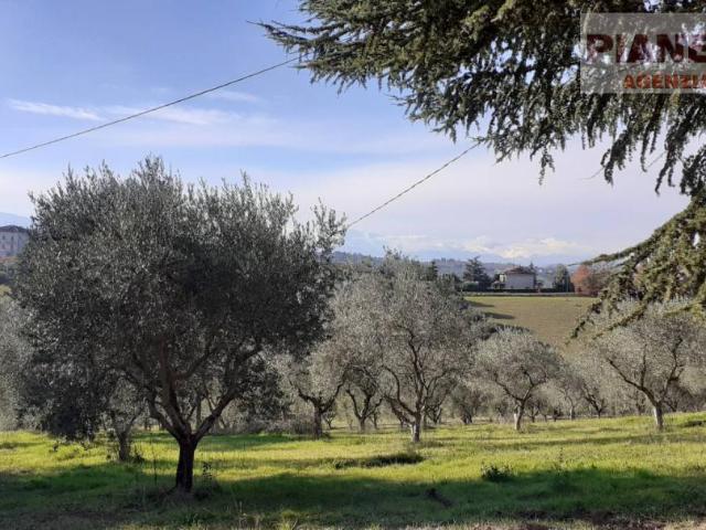 Terreno 690mq