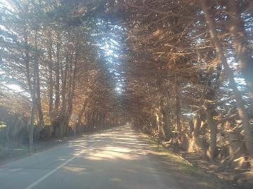 TERRENO 600 METROS EN PICHILEMU