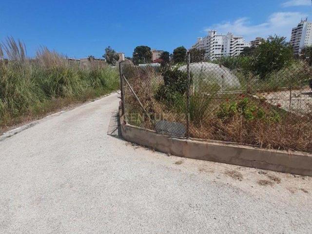 Terreno