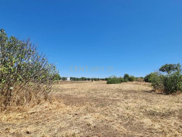 TERRENO 7.000 m² EM BARRADA – REGUENGOS DE MONSARAZ PROJETO DE ARQUITETURA APROVADO | 90.000 €