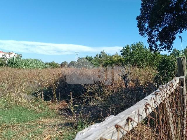 Terreno