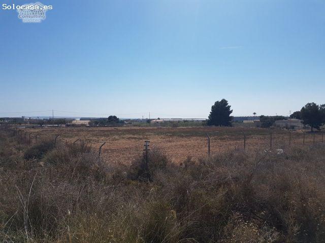 Terreno 9500 m2 frente Parque Industrial Elche Torrellano