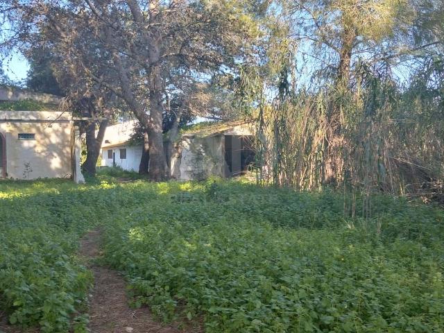 Terreno 9000 m2