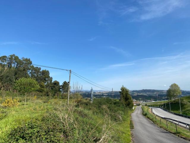 Terreno Agrícola | 9000m²