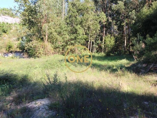Terreno/Bouça com 8.426m2 em Armil/Fafe para venda