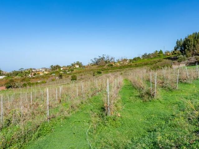 Terreno/Finca Rústica en venta en Tacoronte, Tenerife