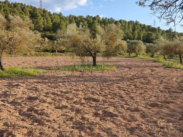 Terreno/Finca Rústica en venta en Tarragona, Tarragona Costa Dorada