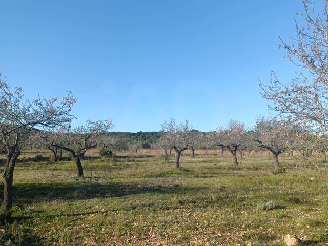 Terreno/Finca Rústica en venta en Tarragona, Tarragona Costa Dorada
