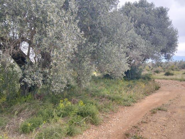 Terreno/Finca Rústica en venta en Tarragona, Tarragona Costa Dorada