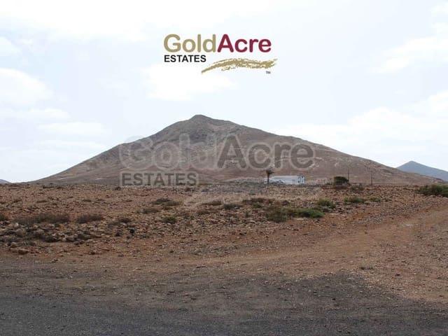 Terreno/Finca Rústica en venta en Tindaya, Fuerteventura