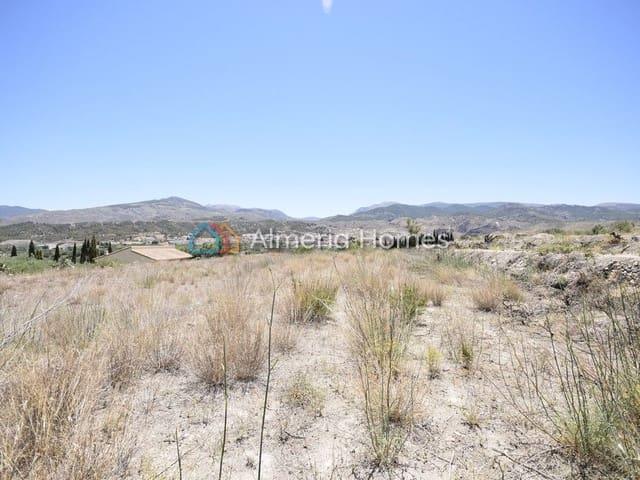 Terreno/Finca Rústica en venta en Tíjola, Almería