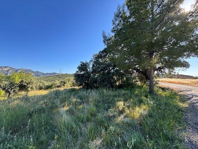 Terreno/Finca Rústica en venta en Tivissa, Tarragona