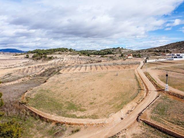 Terreno/Finca Rústica en venta en Torre del Rico, Murcia